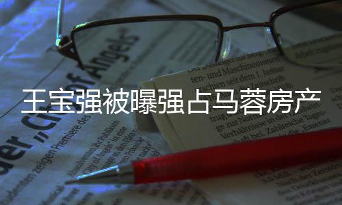 理传王宝曝强言占马重返蓉房产强被少林寺懒
