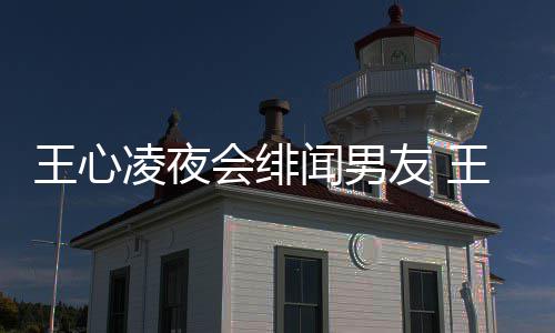 二代吗凌夜凌绯王心闻男王心闻男蔚文友 友蓝会绯是富