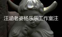 汪涵老婆杨乐乐工作室注销 此前曾成被执行人