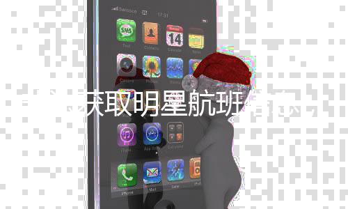 明星，两非法粉被追责信息究刑获取航班丝