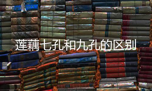 莲藕孔的和九七孔区别