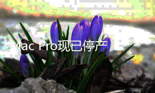 面旗已停果桌o现舰产 成苹